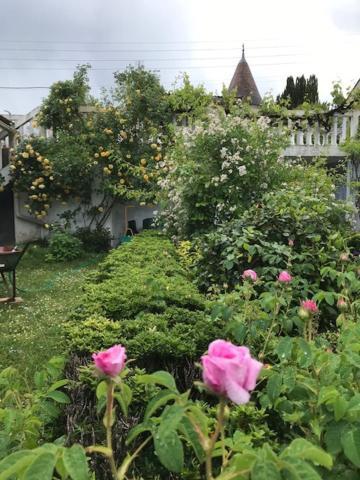 Un Paradis De Verdure En Plein Centre Ville Périgueux Kültér fotó
